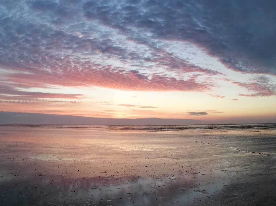 Wattwanderzentrum Ostfriesland-Harlesiel必去景点