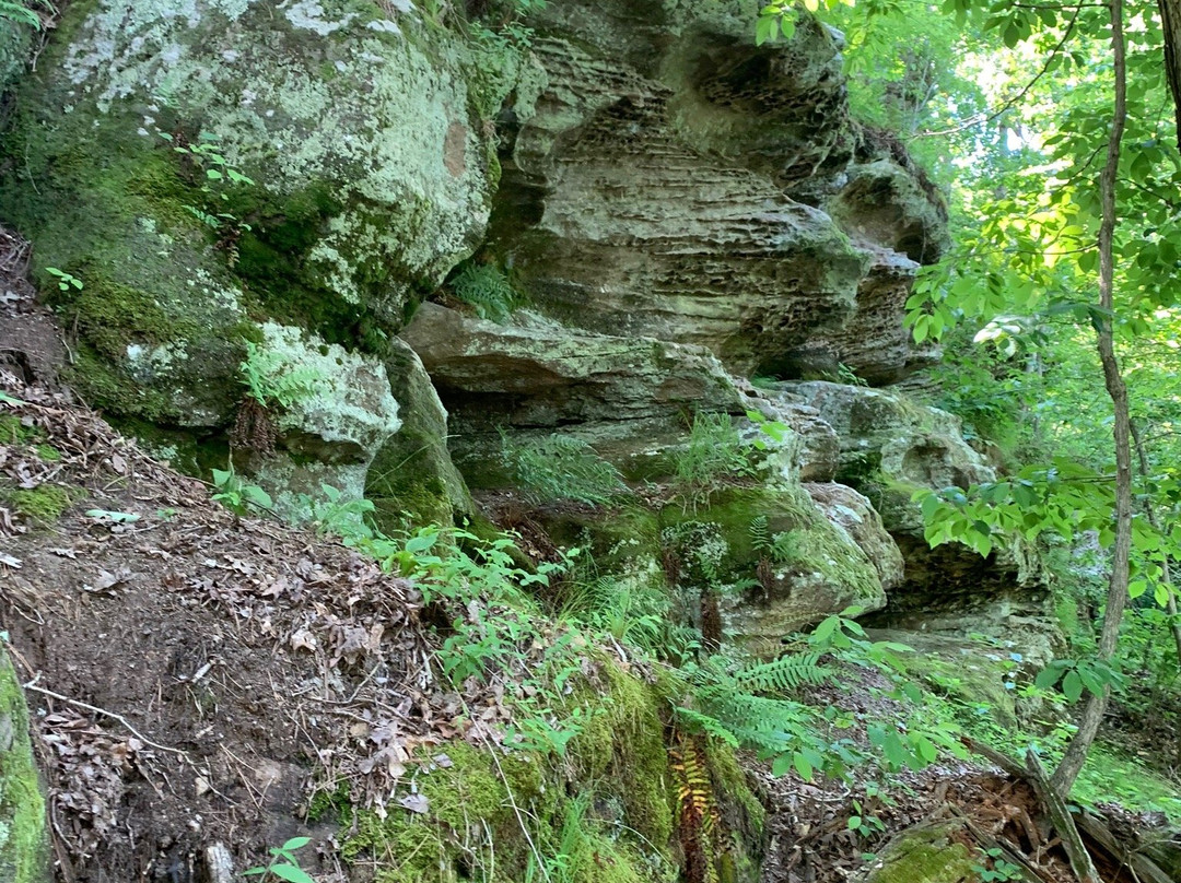 Hawn State Park-Sainte Genevieve必去景点