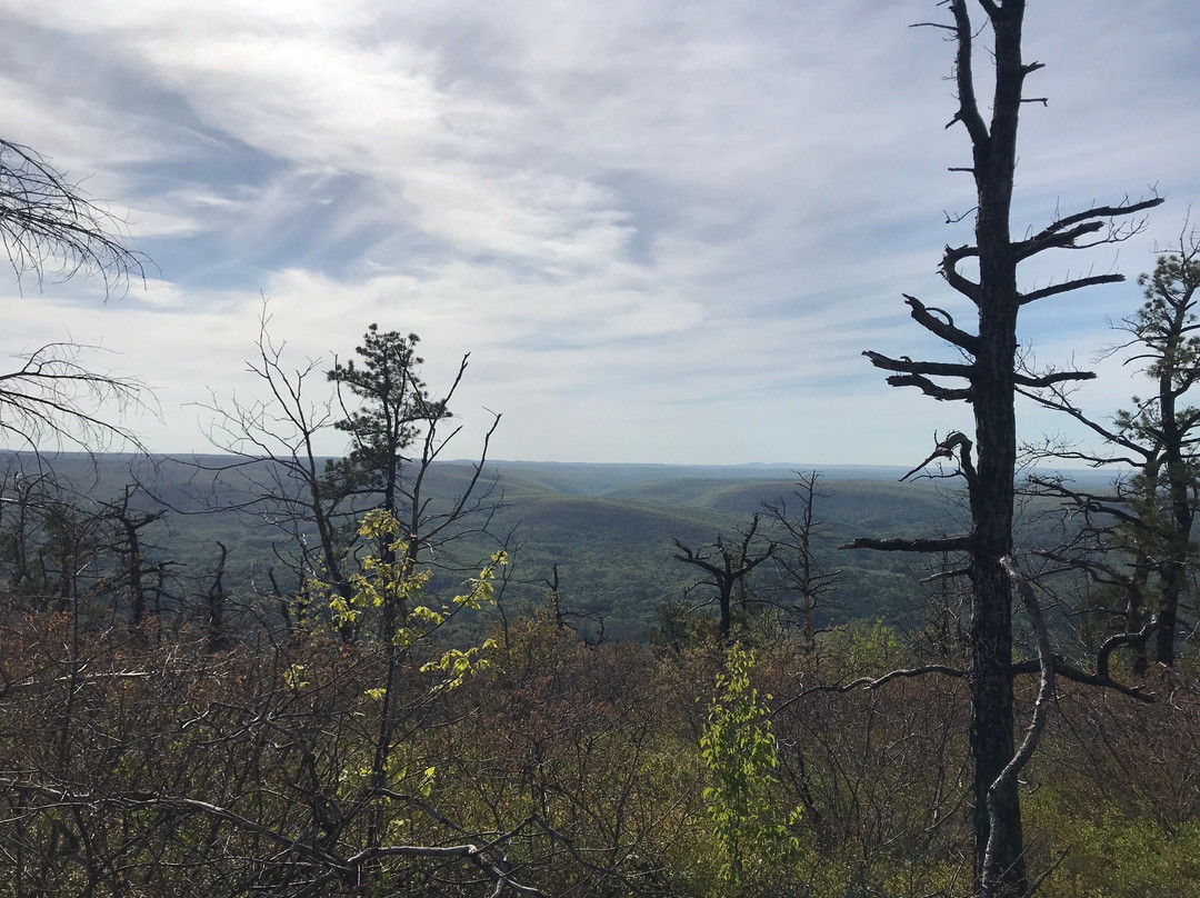 Shawangunk Mountains-Gardiner必去景点