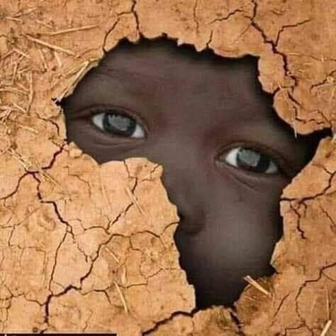 Arusha Giraffe Lodge主图