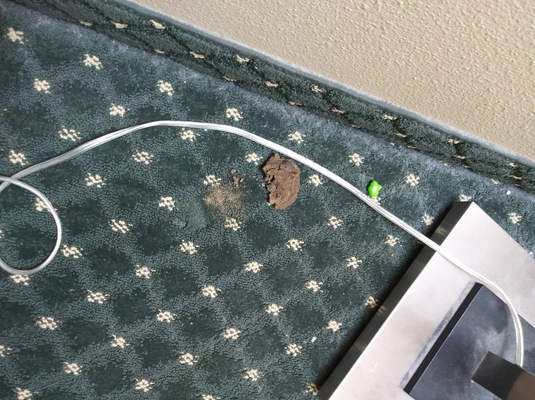 Baymont by Wyndham Helena主图