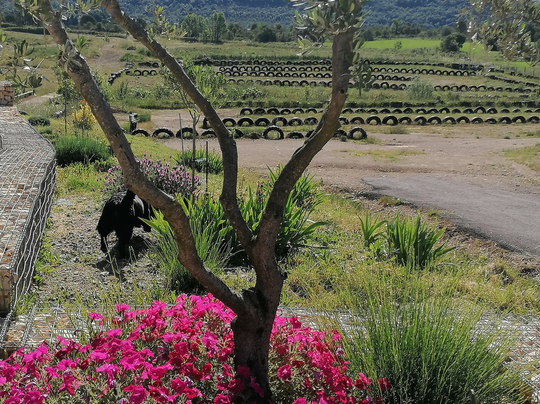 Ardèche Loisirs Mécaniques景点图片