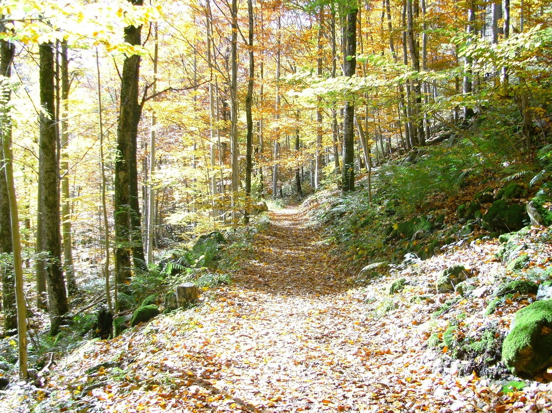 Hotel Landgasthaus Kurz主图