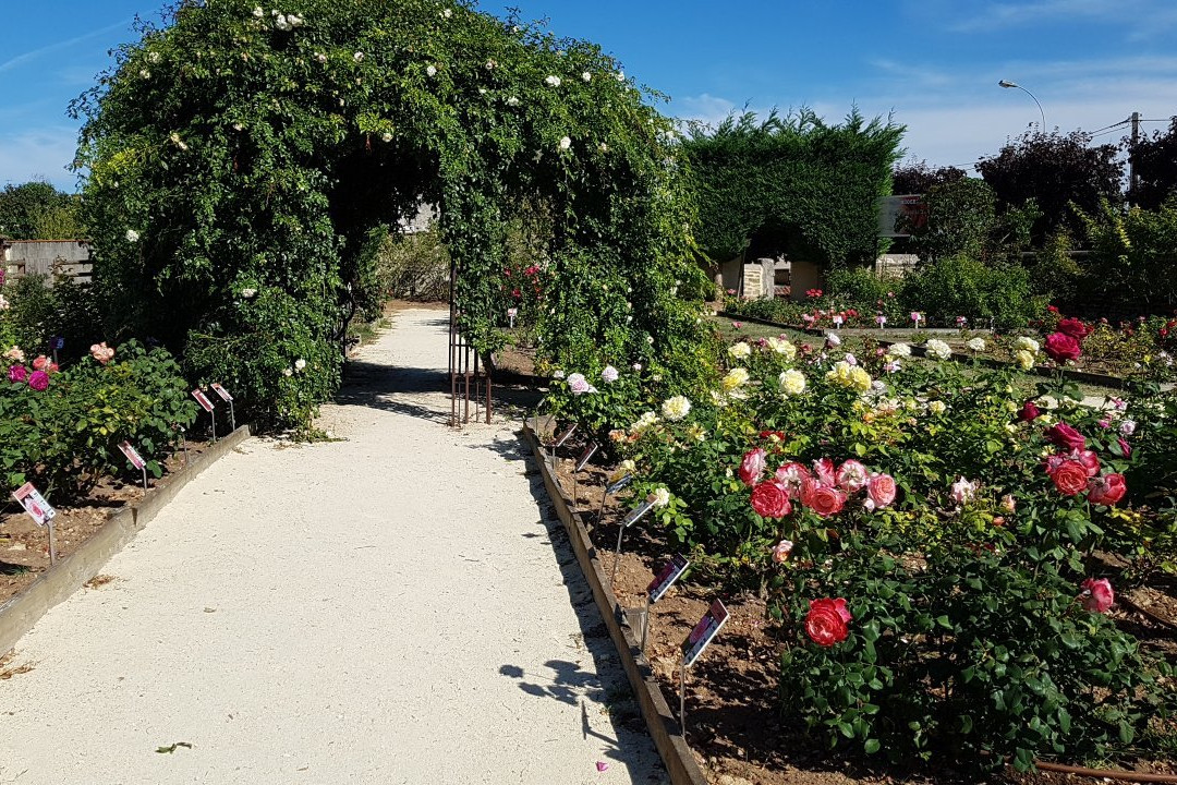 Terre de Rose Distillerie景点图片