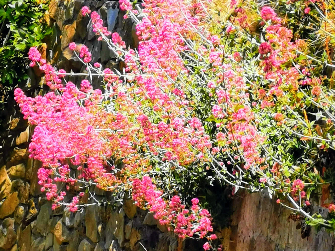 The Chauffeur of Positano-波西塔诺必去景点