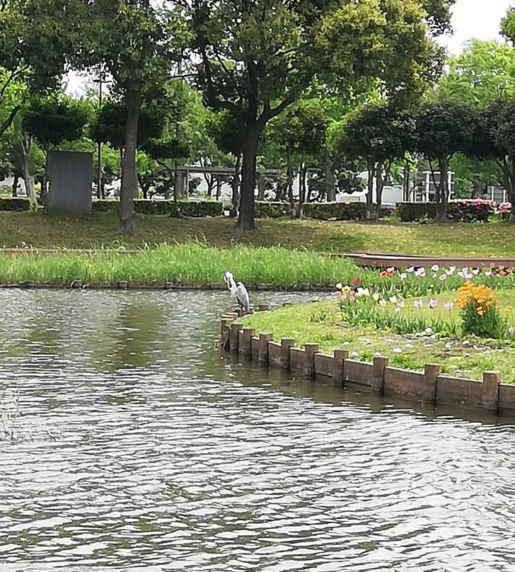 Misato Park-三乡市必去景点