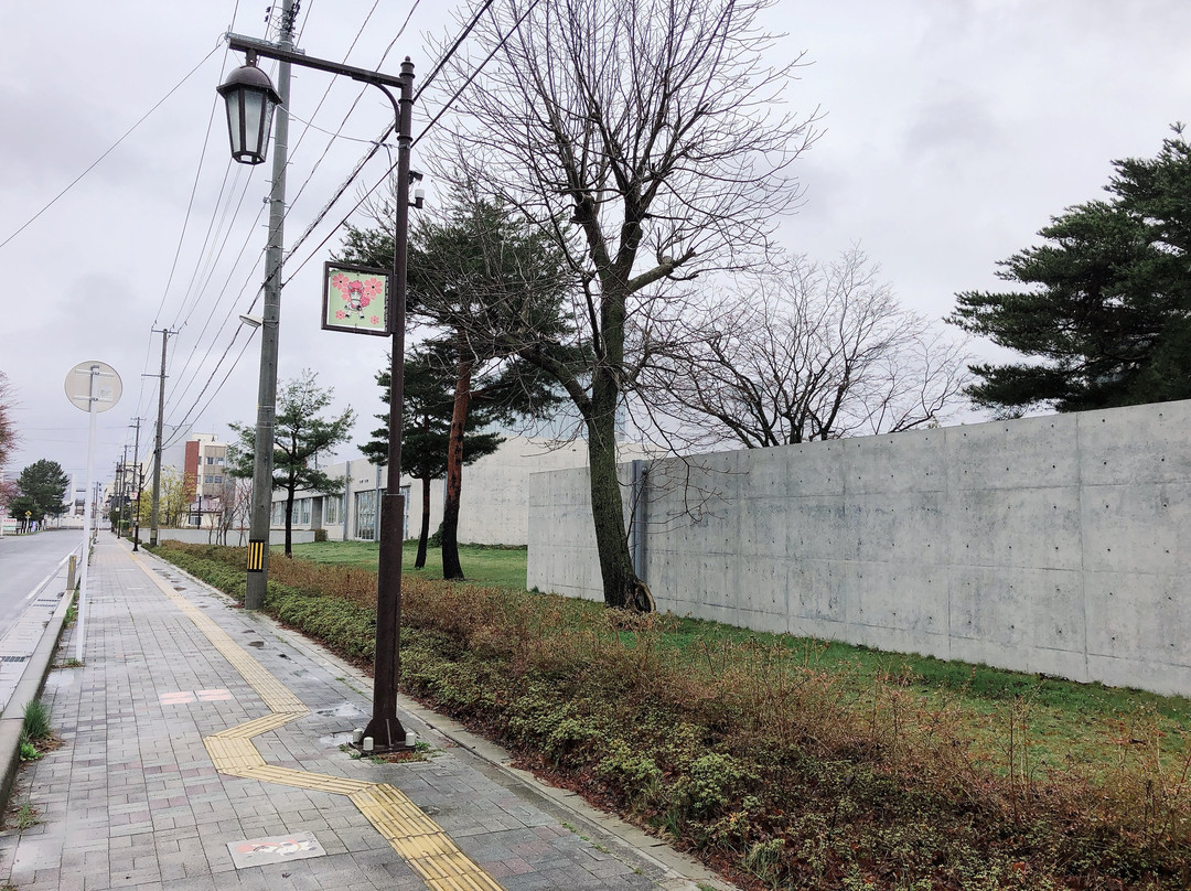Towada City Library-十和田市必去景点