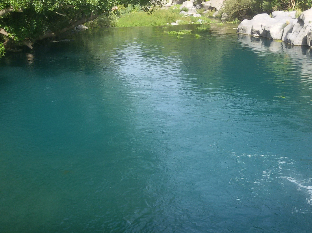 Parco Fluviale dell'Alcantara景点图片