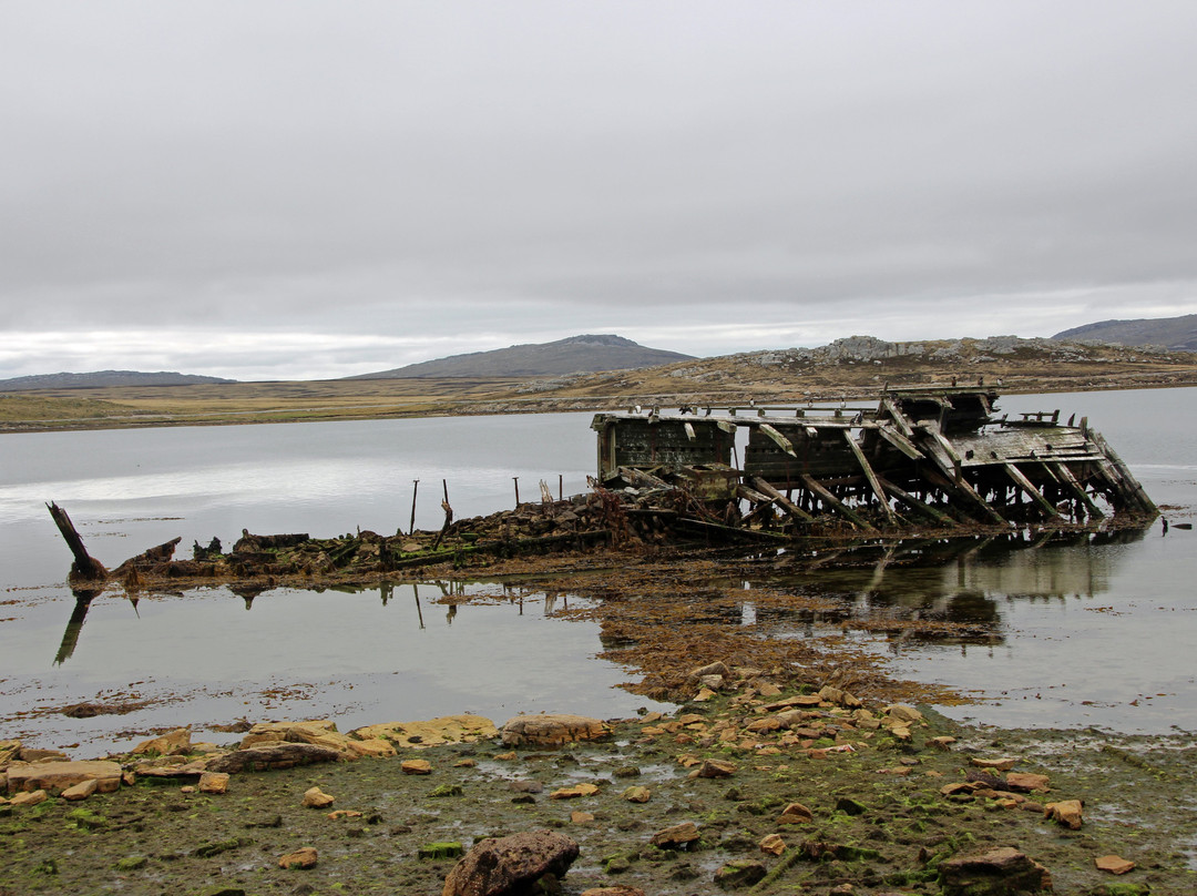 Jhelum Shipwreck-Stanley必去景点