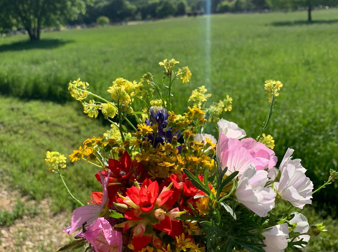 Our Lady of the Rosary Cemetery and Prayer Gardens景点图片