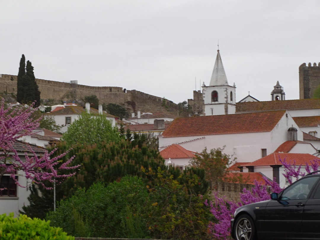 Obidos Town景点图片