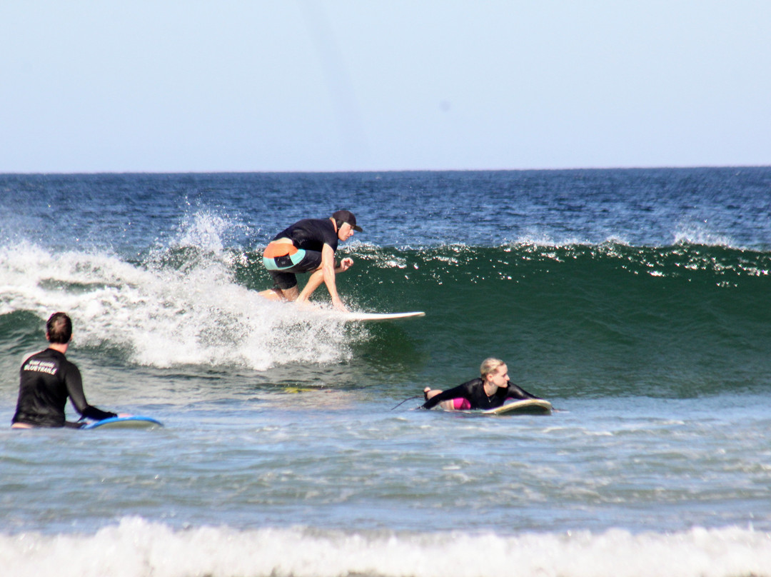 Coconut Harrys Surf Shop and Surf School景点图片