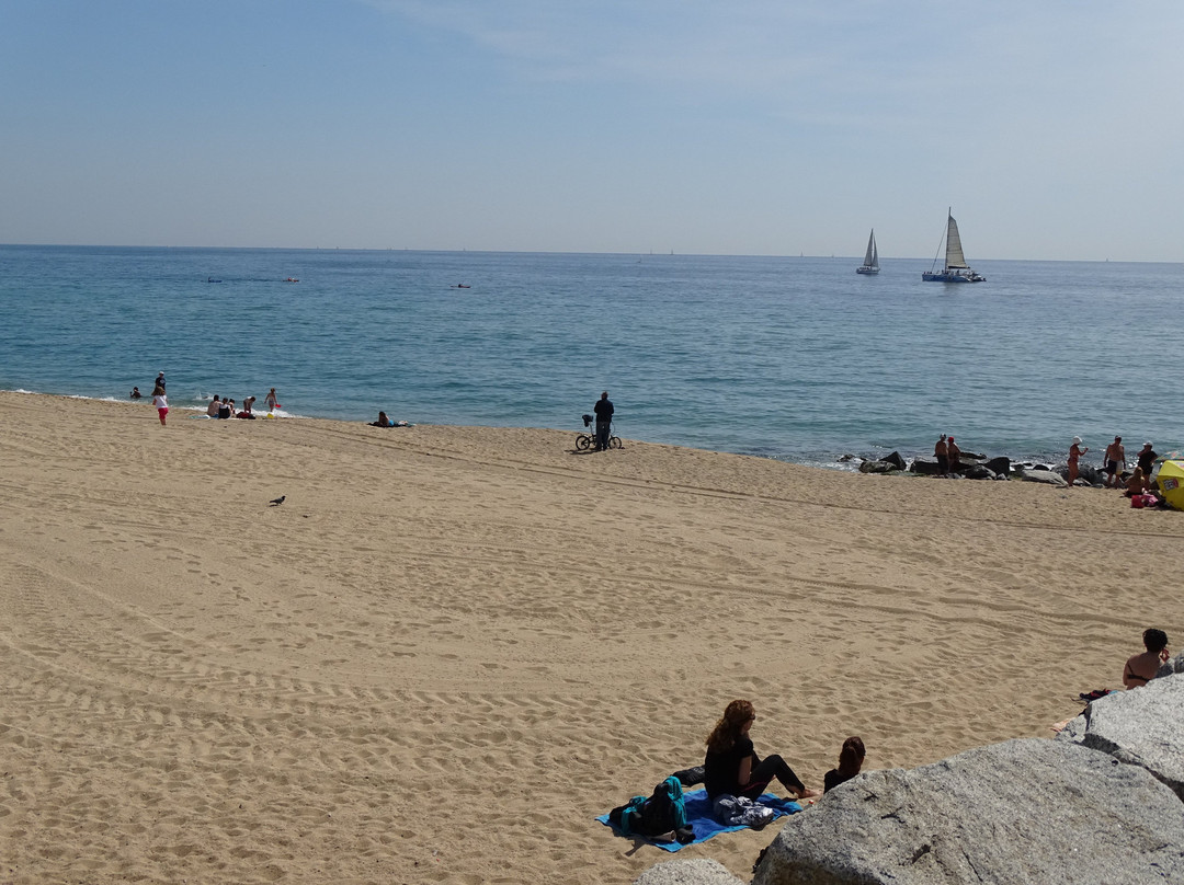 Playa de la Estacion景点图片