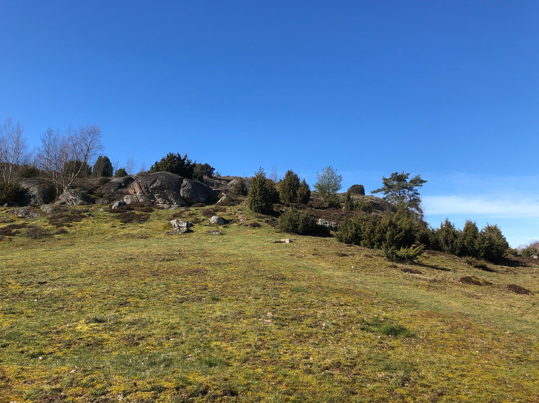 Gamla Varberg Naturreservat景点图片