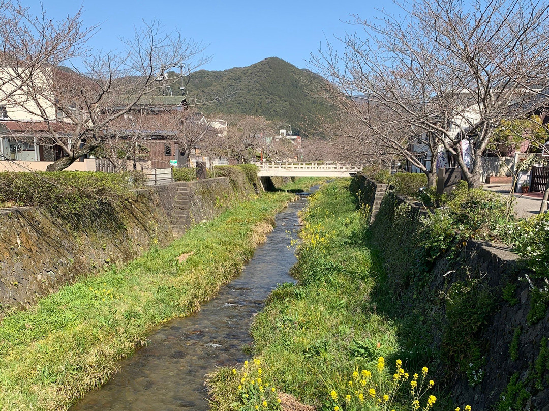 Ichinosaka River Cherry Blossoms景点图片