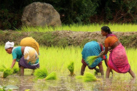 Soulful Travel Services-朋迪榭里必去景点