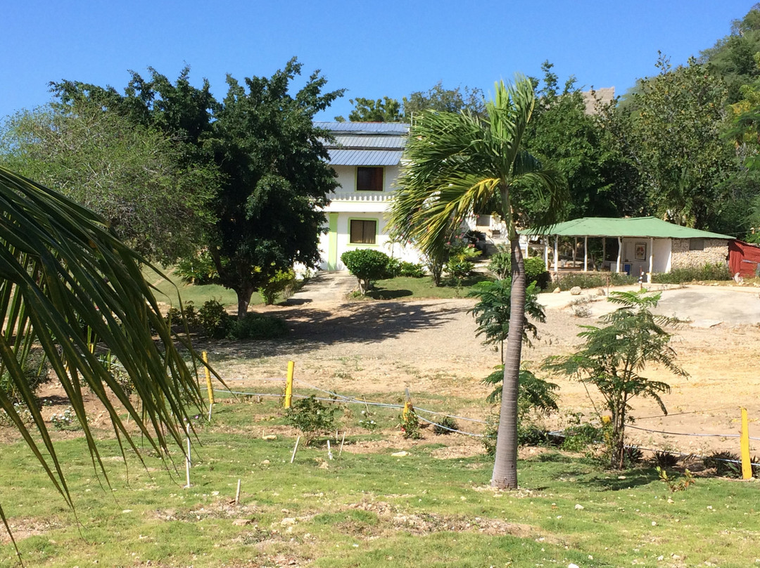 Villa Alfonsina主图