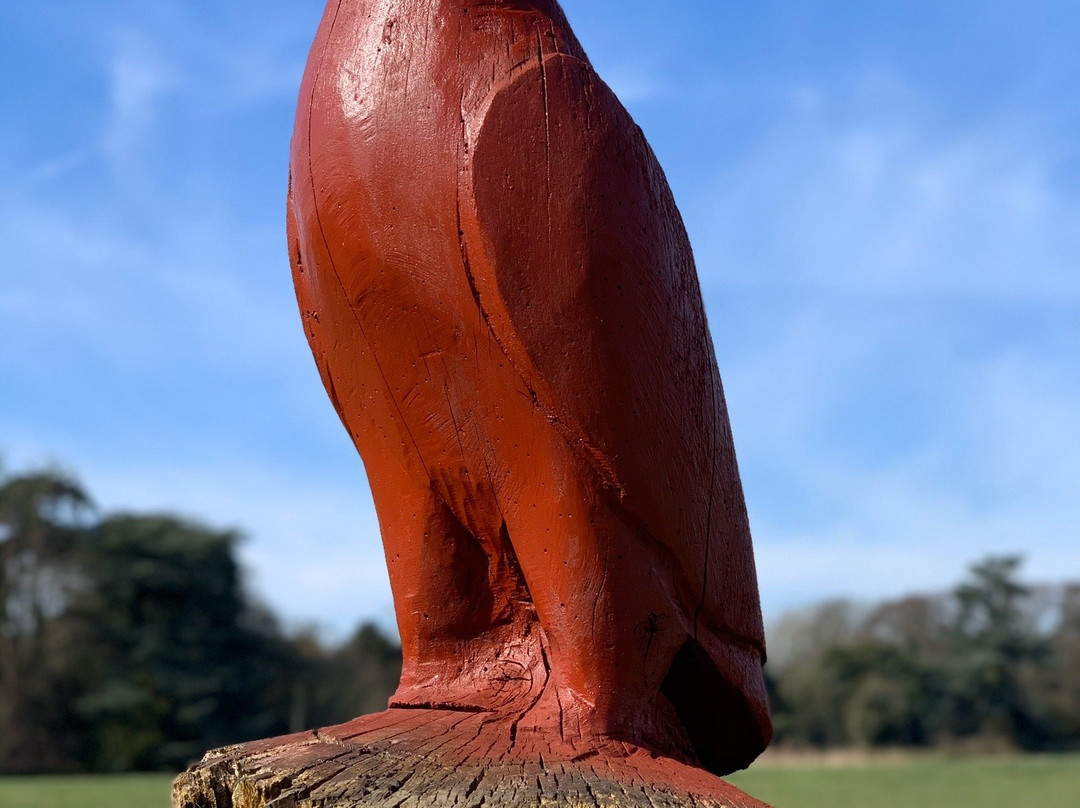 Catton Park景点图片