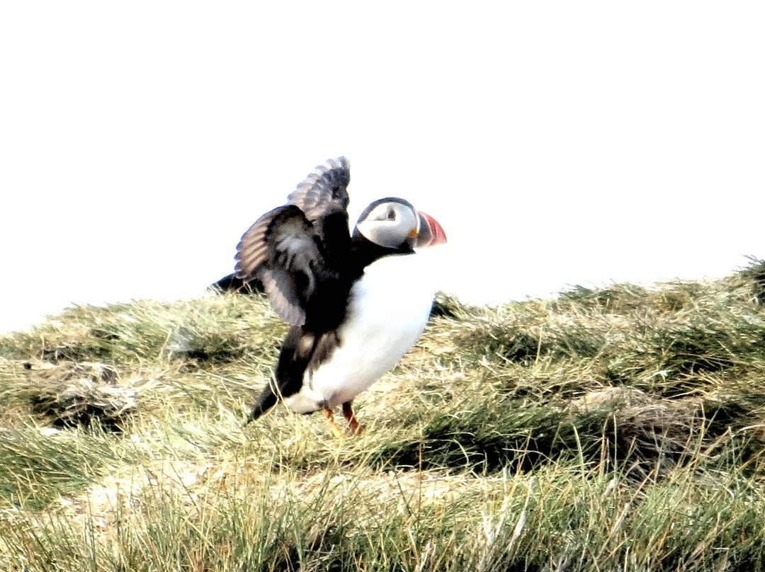 Seatours-Stykkisholmur必去景点