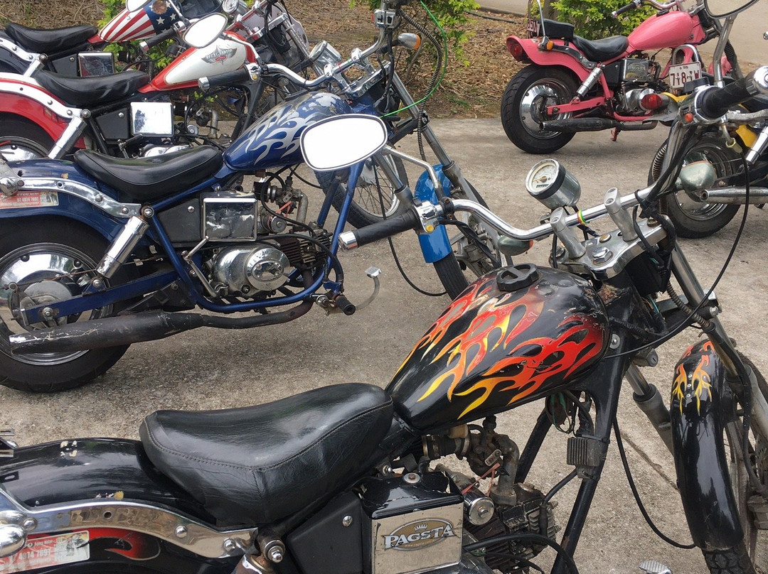 Scooter Roo Tours-Agnes Water必去景点