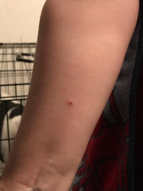 美国芝加哥长住酒店-莱尔主图