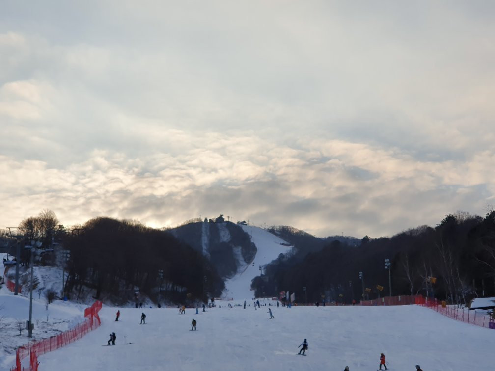 Phoenix Snow Park-平昌郡必去景点