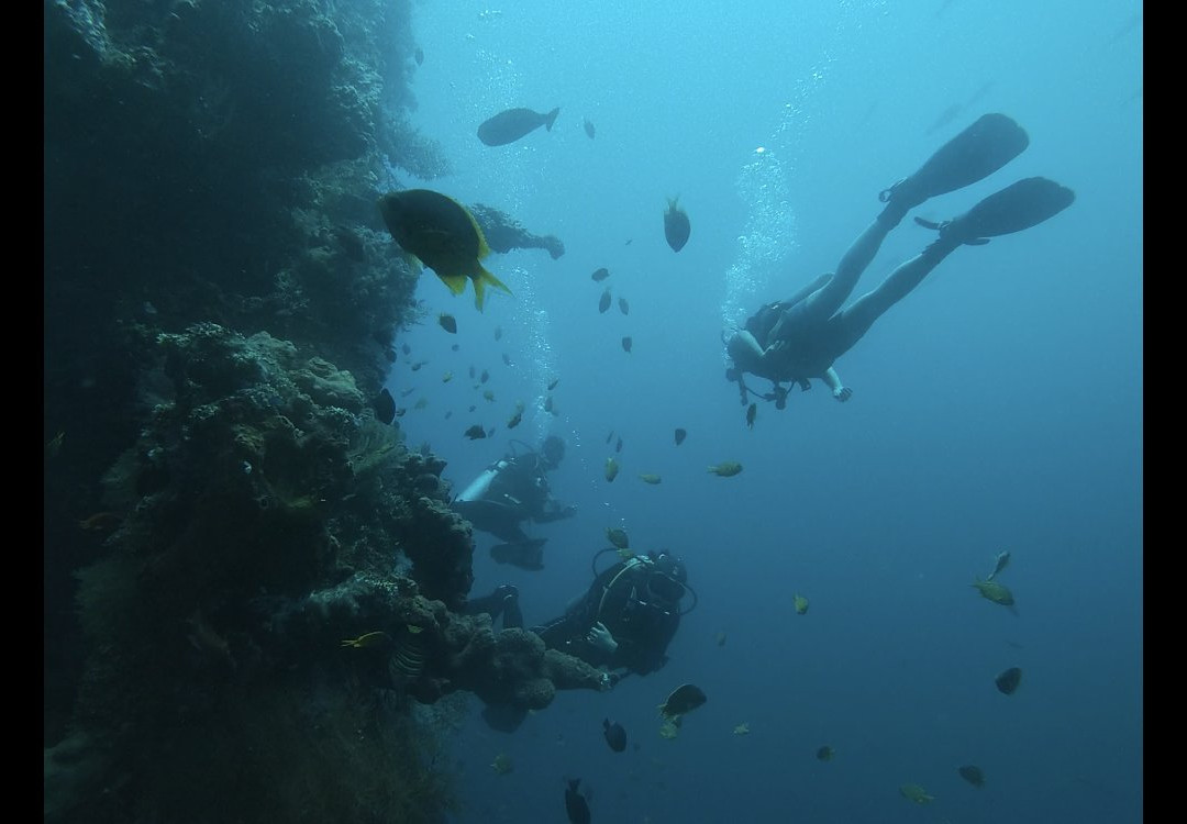 Bali Dive Cove-艾湄湾必去景点