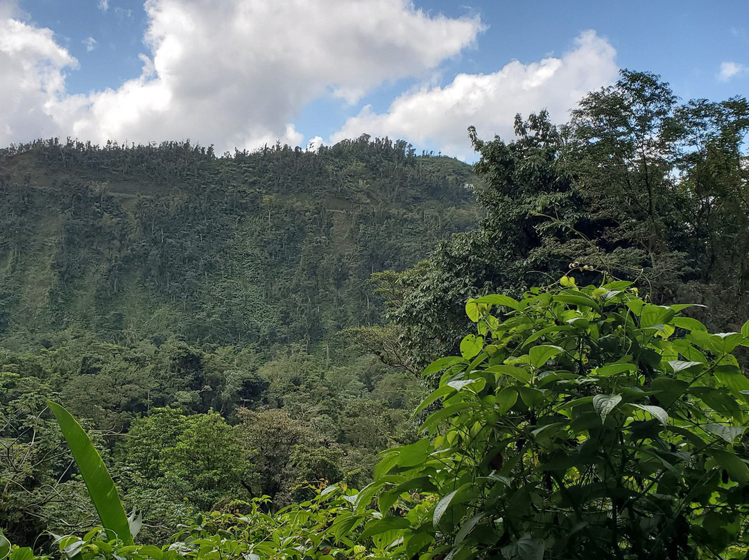 Just Go Dominica-多米尼克必去景点