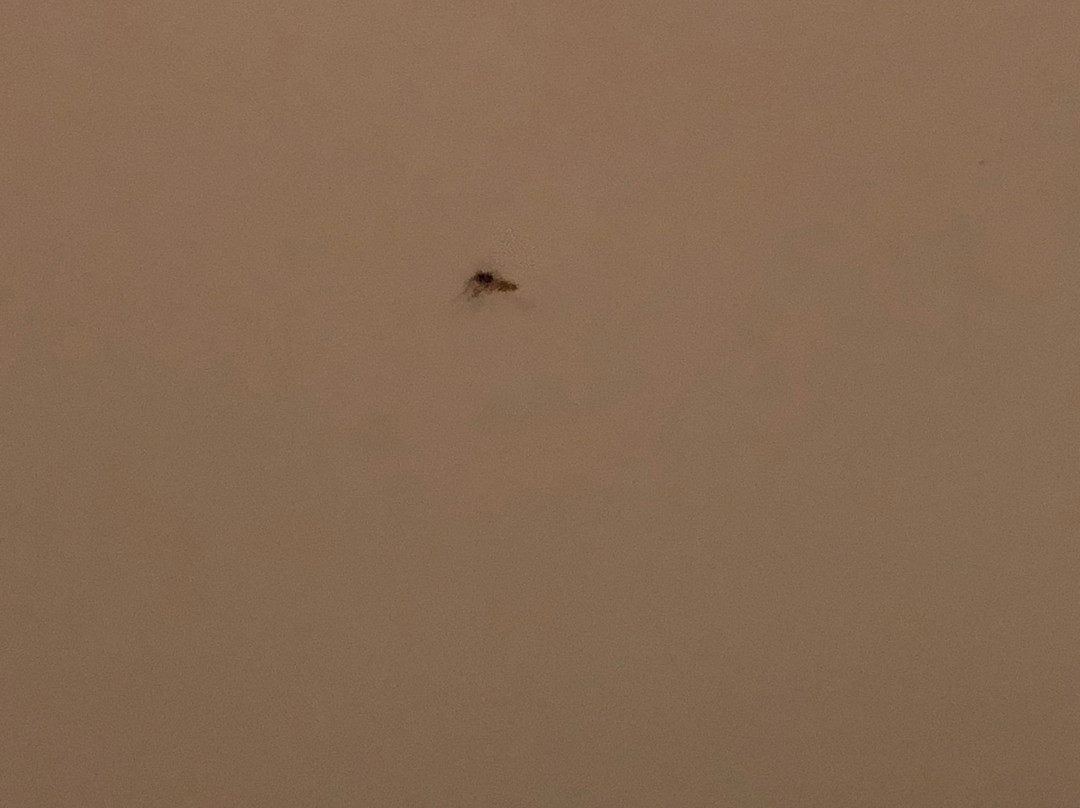 Stay Hotel Guimarães Centro主图