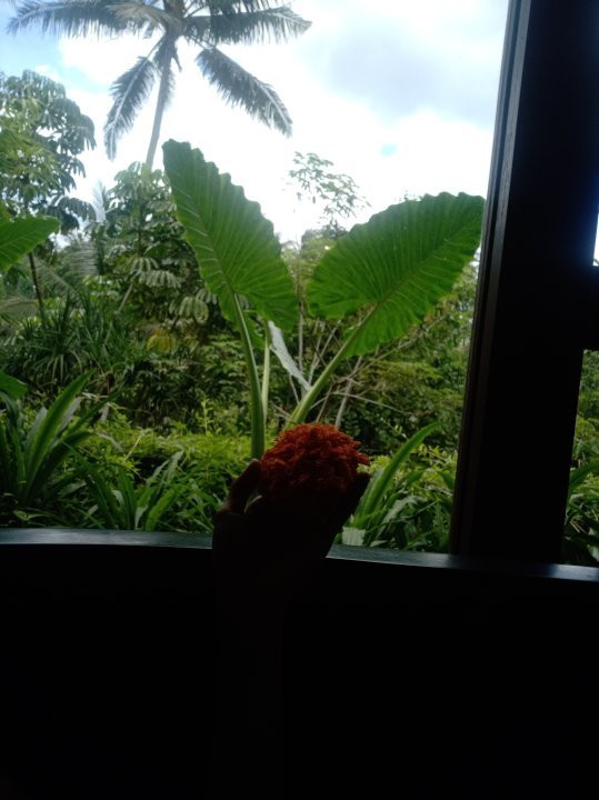 Mahayana Spa-乌布必去景点