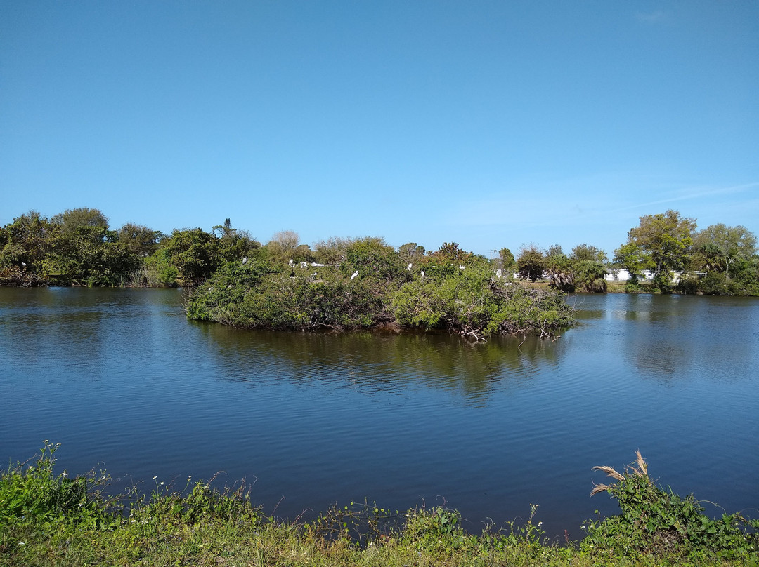 The Venice Area Audubon Rookery-威尼斯必去景点