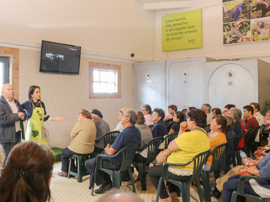 探索Santa Catarina da Serra