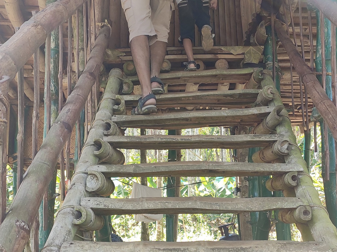 Greenways Treehut & Villas主图