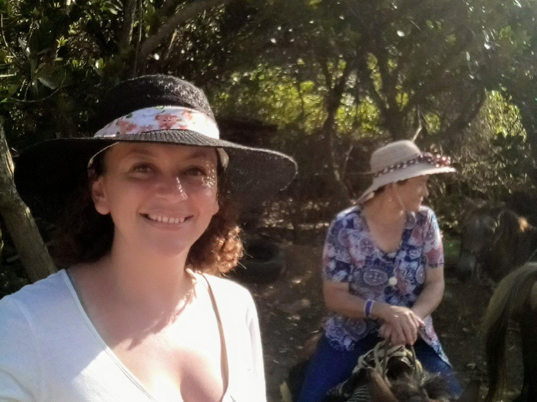 Native Horses-San Luis必去景点