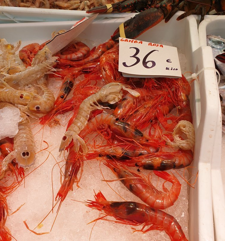 Mercat Central de Castelló景点图片