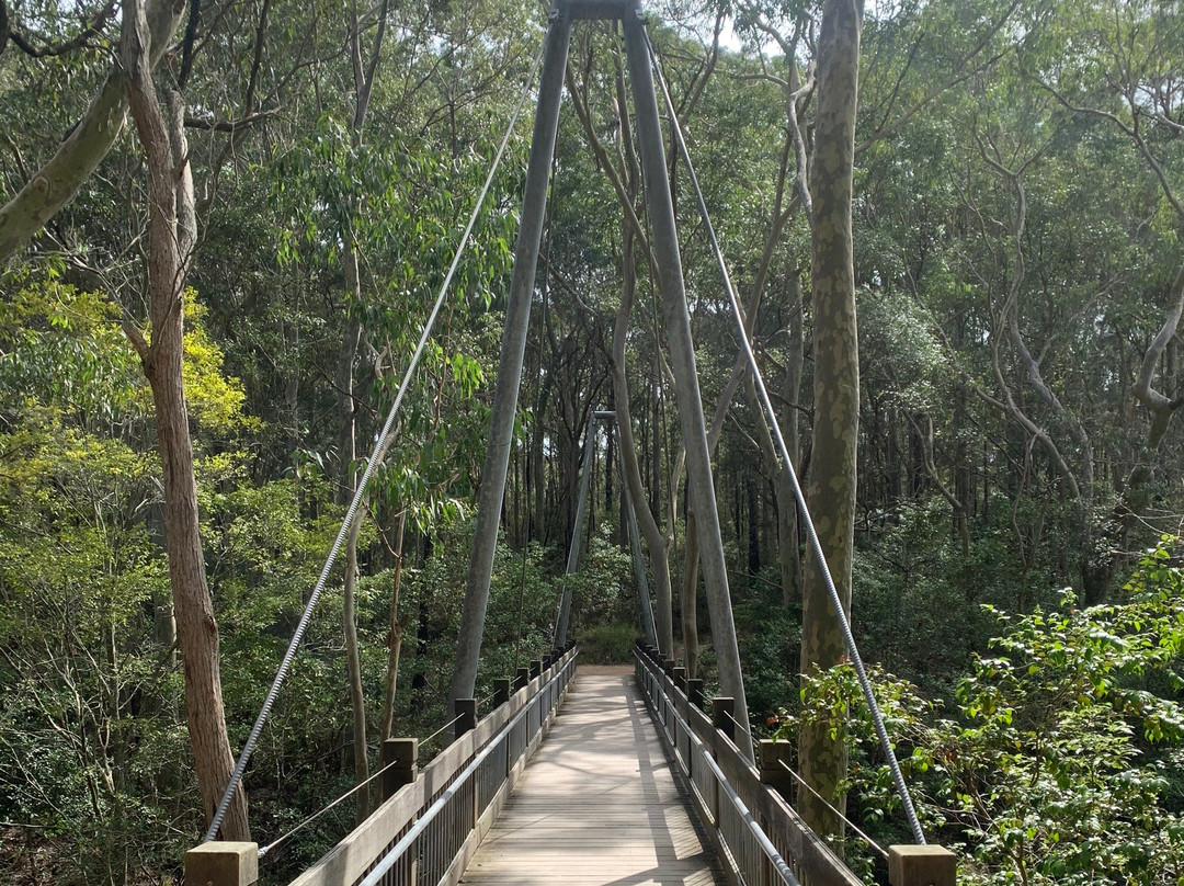 Glenrock Lagoon景点图片