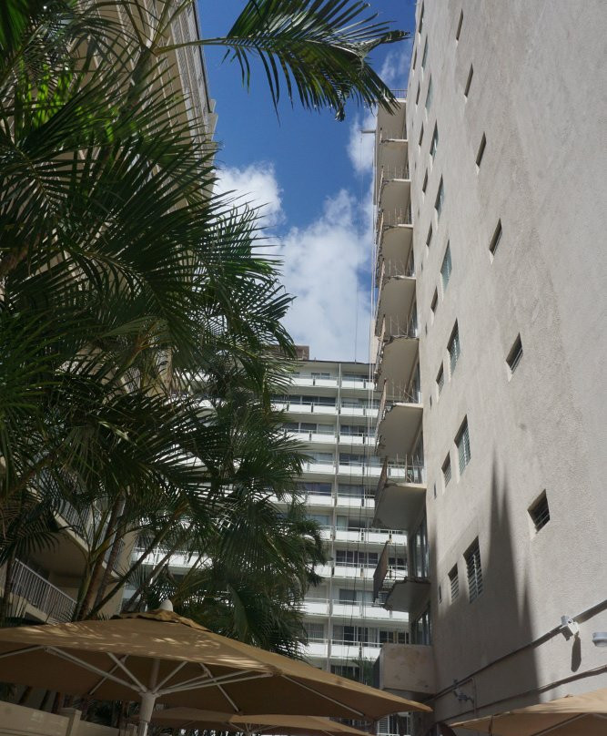 威基基椰子酒店主图