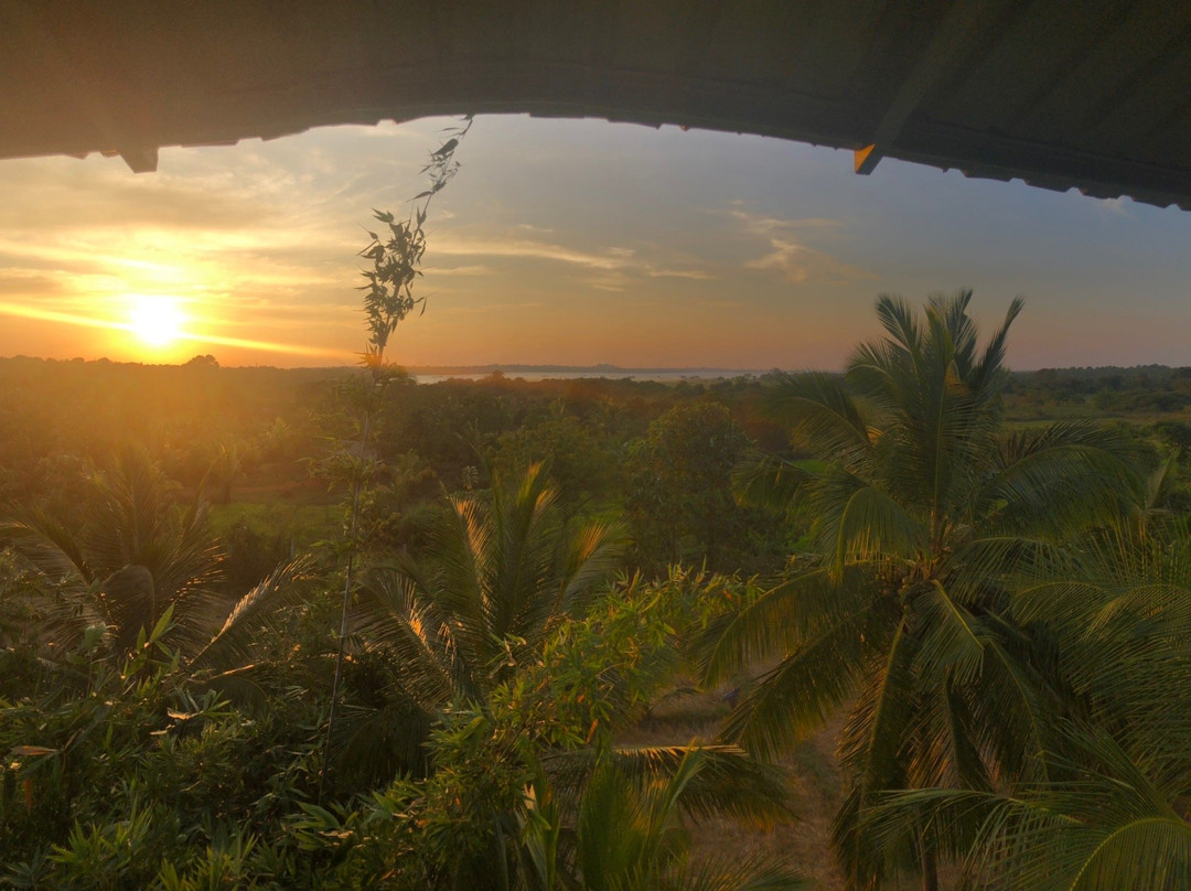 Keerikkulama旅游攻略图片