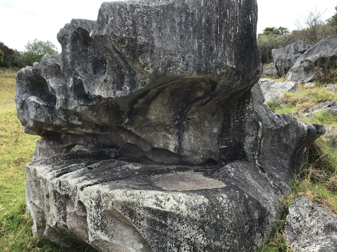 Waro Limestone Scenic Reserve Walk景点图片