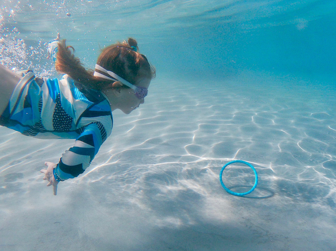 Maui Swim Lessons-卡纳帕利必去景点