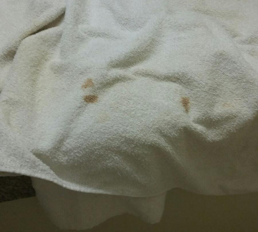 Marston旅游攻略图片