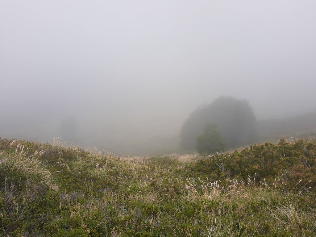 Reserva Nacional Mocho Choshuenco-Choshuenco必去景点