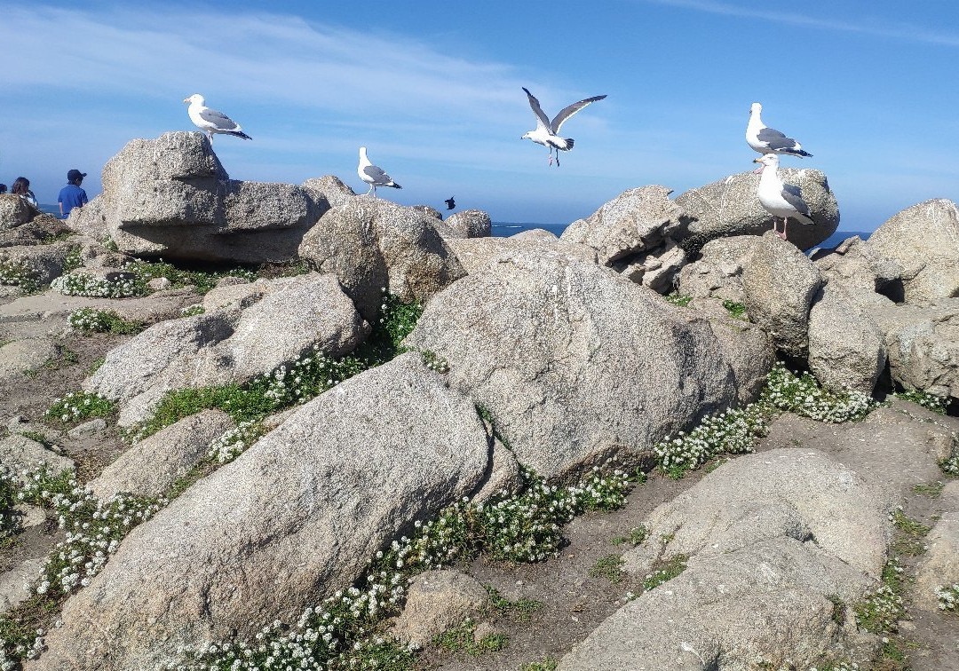 Lover's Point Park景点图片