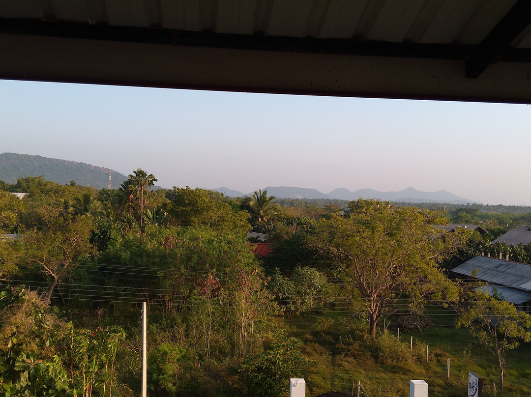 Blue Sky Hotel Yala主图