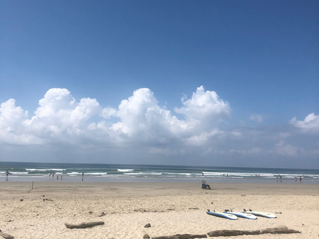 Shaka Costa Rica主图