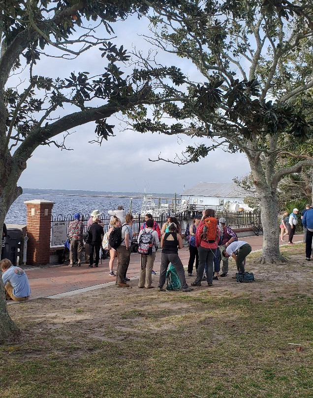 Cumberland Island Ferry景点图片