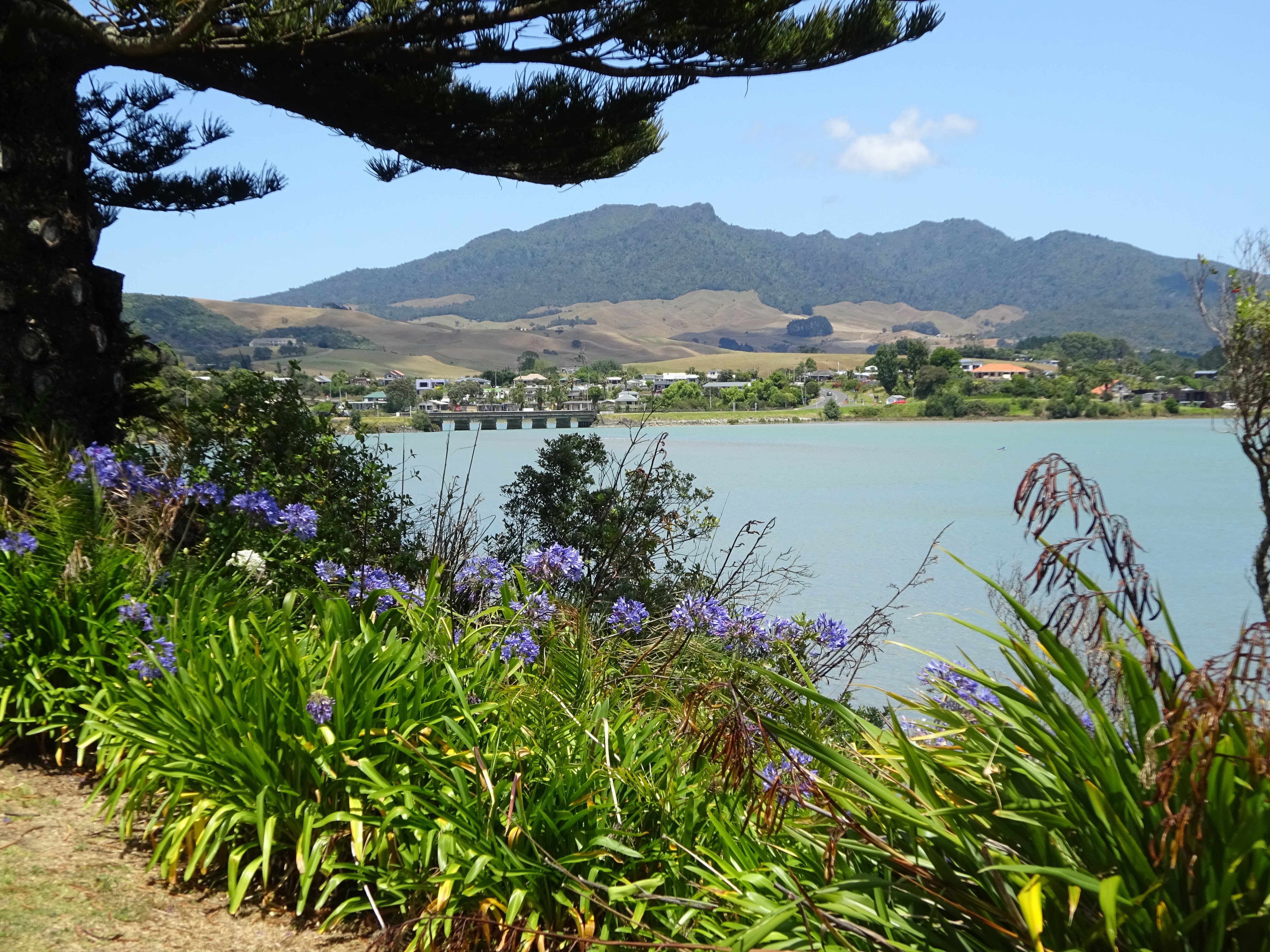 Raglan Palm Beach Motel-官方