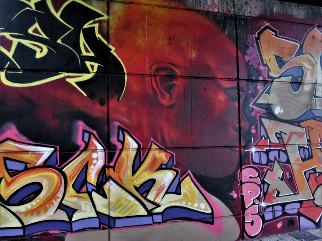 Fresque "Profile rouge"景点图片