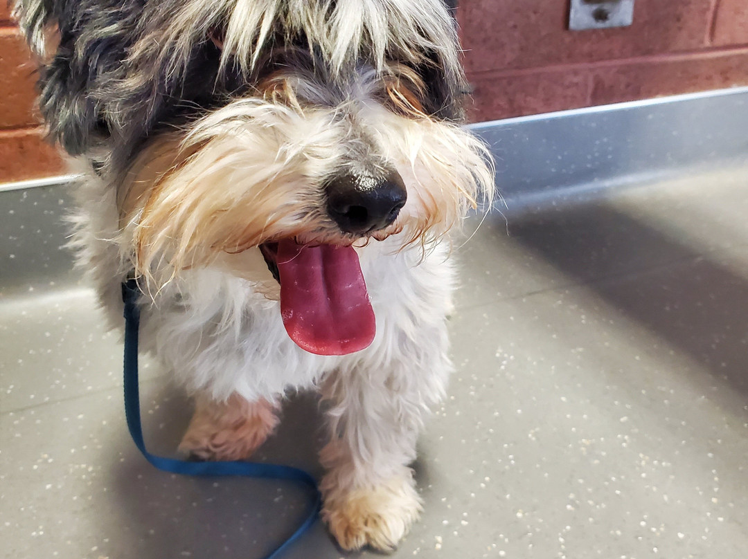 Days Inn by Wyndham Las Vegas主图