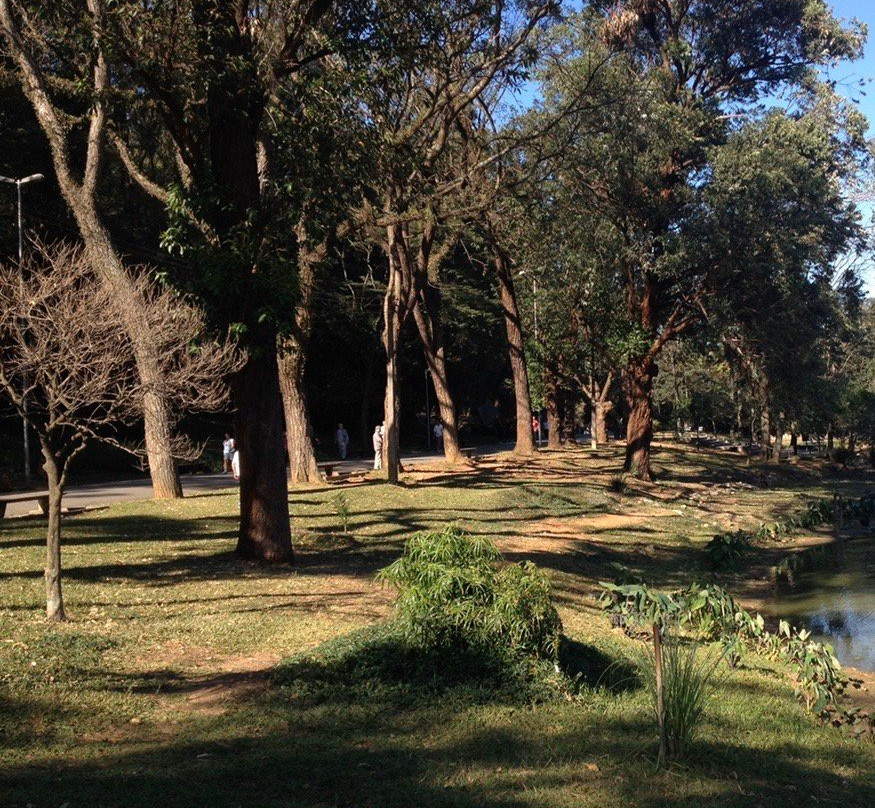 Parque da Aclimação-圣保罗必去景点